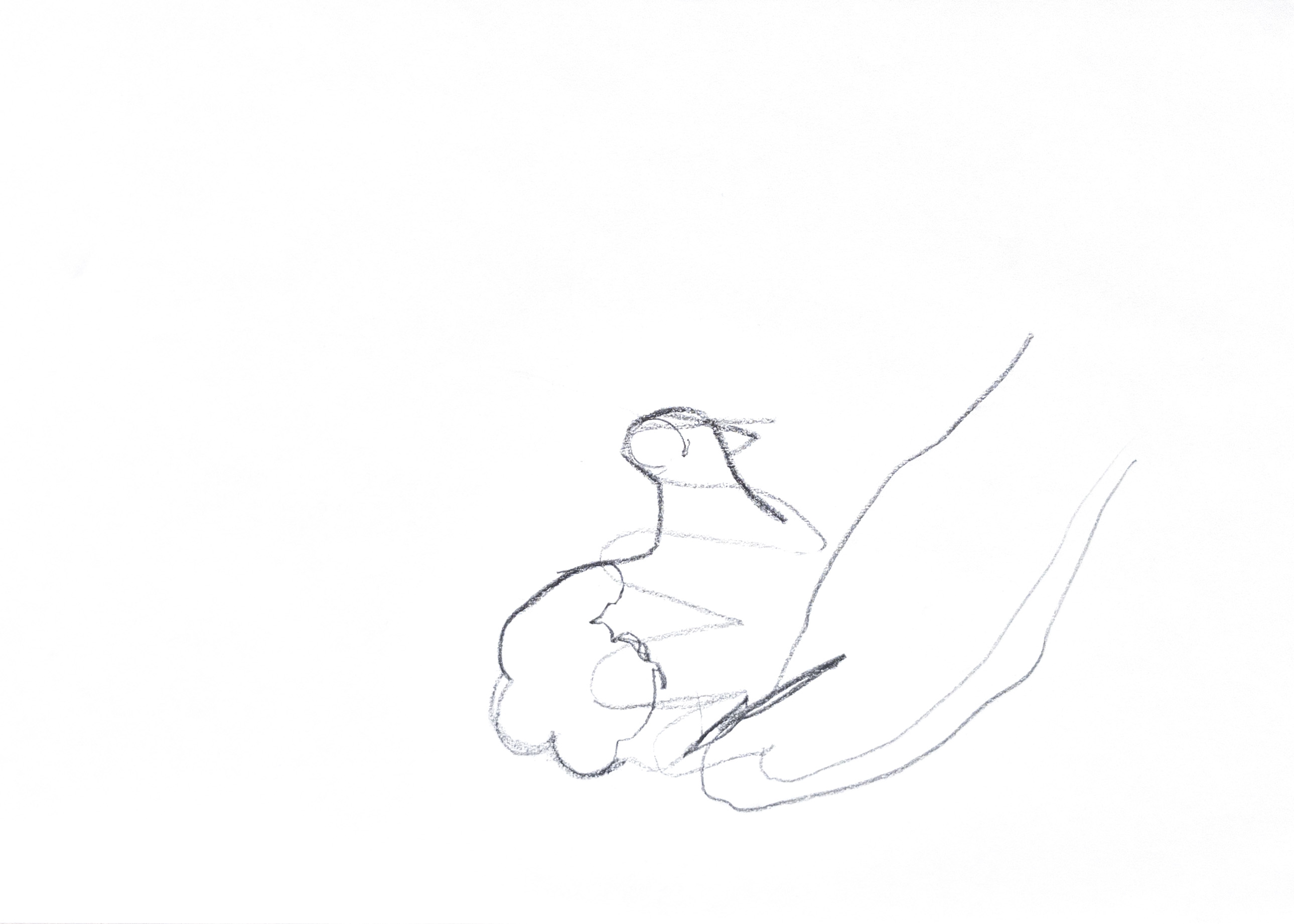 outlined drawing of a hand